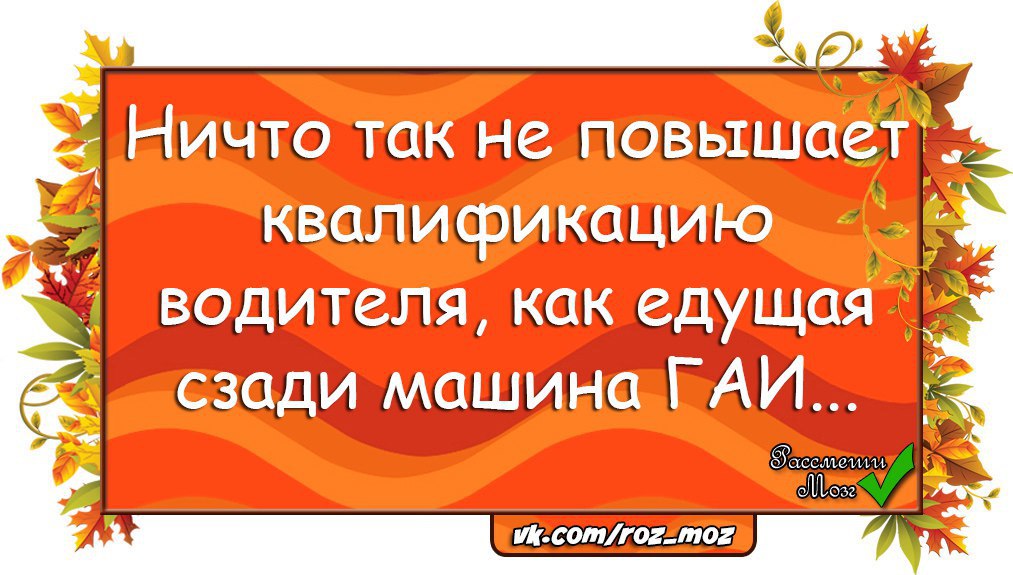  - 1  2016  08:36