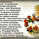 ���� �������, �����������-��-�����, 48 ��� - ��������� 31 ������ 2017 � ������ ������ ��������