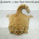 ���� �������, ������ ��������, 47 ��� - ��������� 18 ������� 2016 � ������ ������ ��������