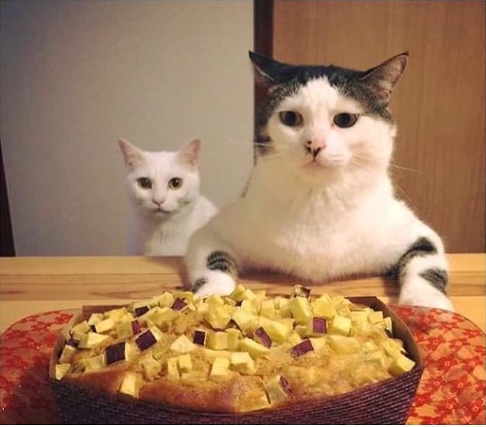       ,           ...