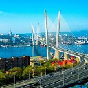 ���� �����, �����������, 44 ���� - ��������� 18 ������ 2016 � ������ ���� ����������