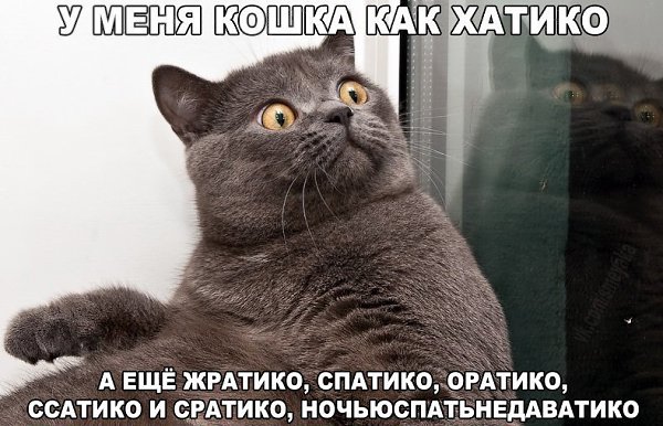    :D - 27  2016  04:03