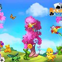 ���� ����, �����-��������� - ��������� 30 ����� 2017 � ������ �������� �������-�������