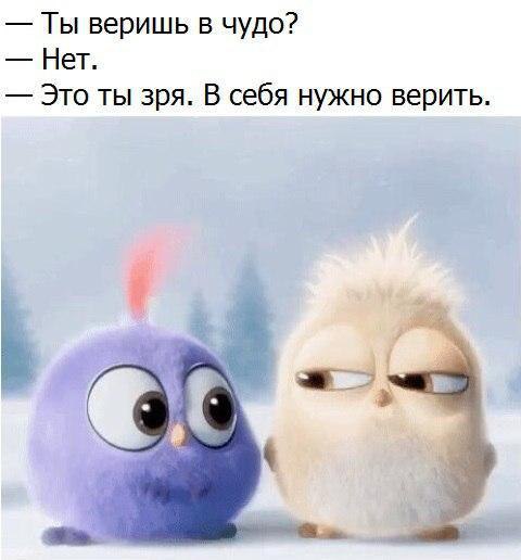   - 3  2017  18:50