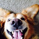 ���� ������, ������ - ��������� 5 ������� 2016 � ������ ��������