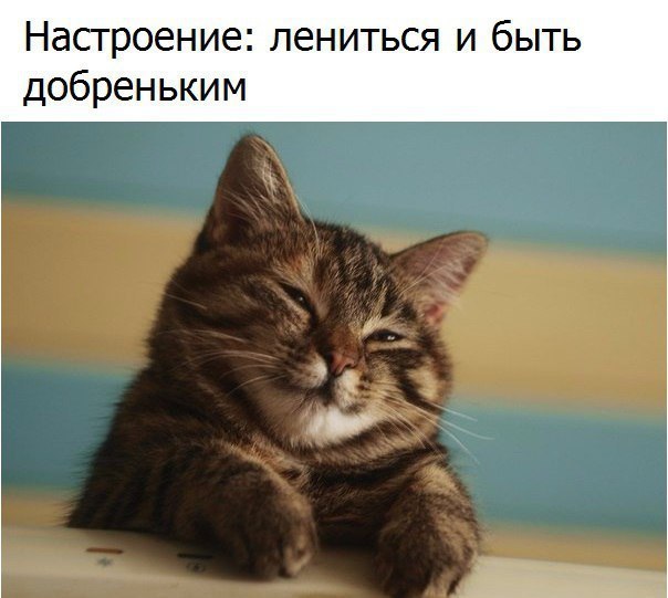    :D - 8  2016  00:01