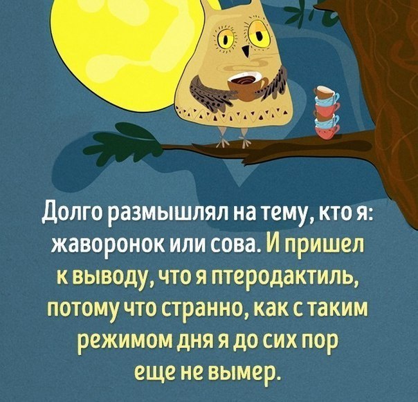  |  2016 |  |  |  - 17  2016  16:52