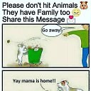 ���� Vijay, �����-���������, 39 ��� - ��������� 19 ������� 2016 � ������ ���� ����������