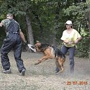 ���� Miss, ������, 49 ��� - ��������� 13 ������� 2017 � ������ ���� Bodyguard,��� ������ �������� �������������