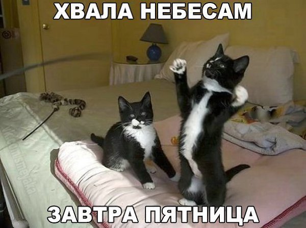    :D - 19  2017  11:07