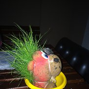 , 47 , -