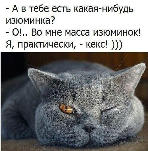   - 12  2017  07:57 - 2