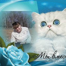  P, , 62  -  11  2017