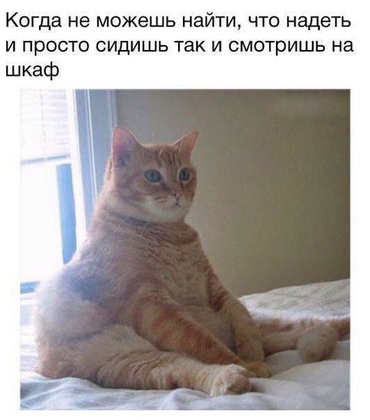    - 7  2017  08:16