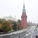  , , 83  -  22  2017    2016.