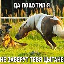 ���� ������, �������, 50 ��� - ��������� 10 ������� 2016 � ������ ������ ��������