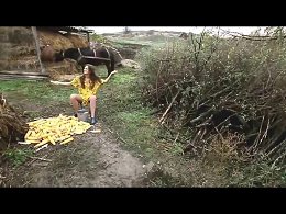 ���� ���������� �� �������� ����� ������� �������� ��������!��������� ���������.