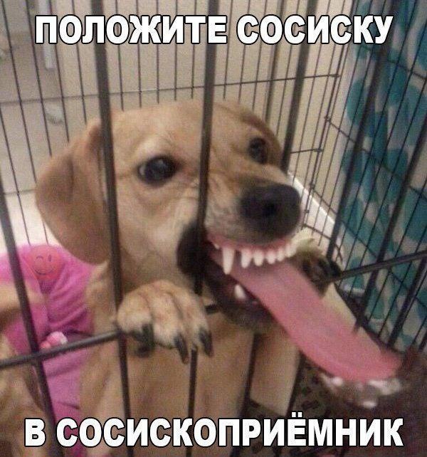    )) - 5
