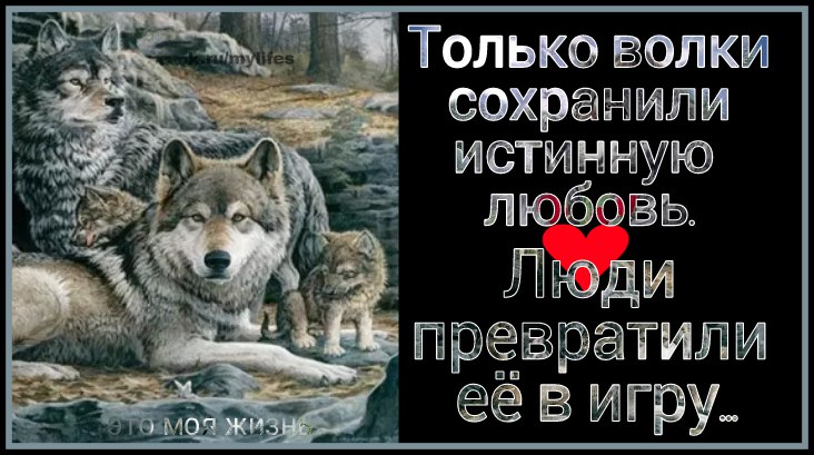   - 17  2017  17:57