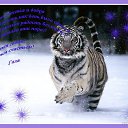 ���� ���������� �, �������, 62 ���� - ��������� 9 ������ 2017 � ������ ���� ����������