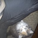 ���� ������, ���������, 46 ��� - ��������� 1 ������� 2016 � ������ ������ ��������