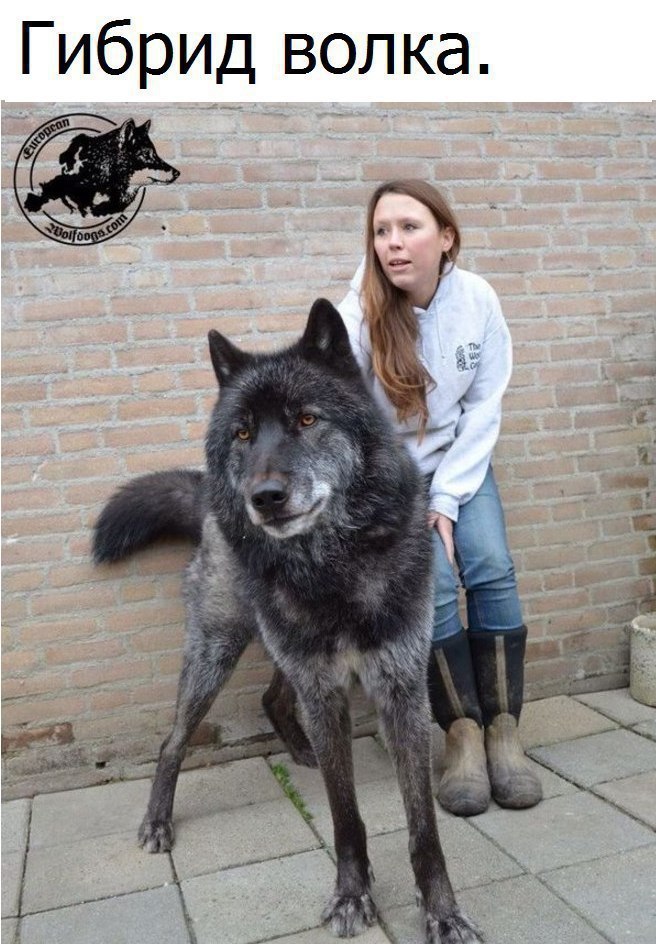   :    - 24  2017  14:16