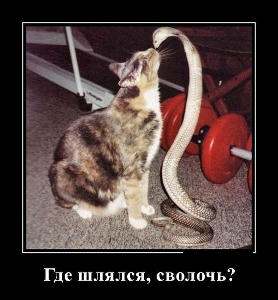 ������, � ������ ���� � ������, ���� ��� ������ ���� ������ �� ����� � ��� ������ ���������, ������� ... - 2