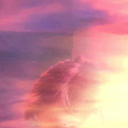 ���� ��������, ������, 33 ���� - ��������� 31 ����� 2017