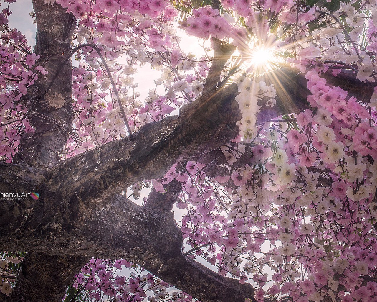 - 28  2017  09:58