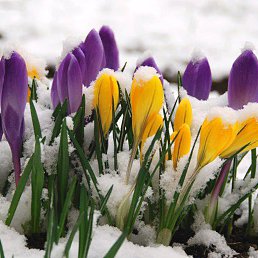 ���� ����, �����-��������� - ��������� 8 ����� 2017