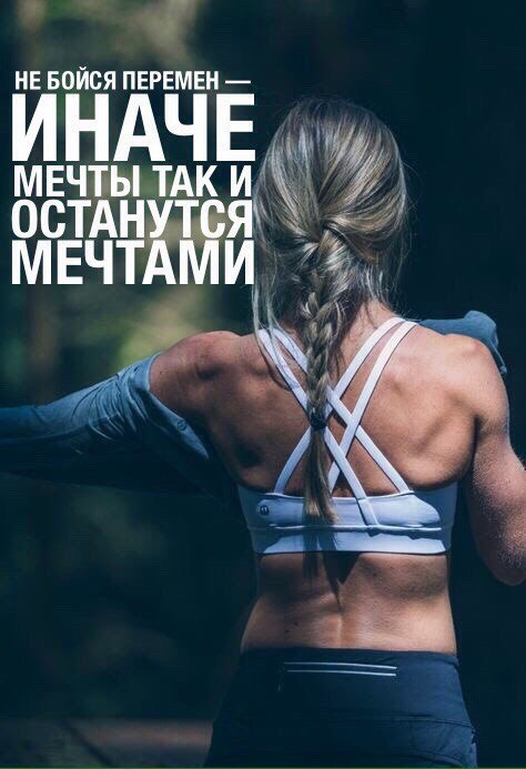  -   - 8  2017  11:14