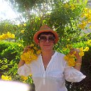 ���� �������, ������, 65 ��� - ��������� 29 ������� 2016 � ������ ������ ��������