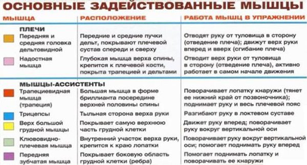 Жим Арнольда. Все: от техники до секретов выполнения. Обычно, если человек добился каких-либо ... - 3