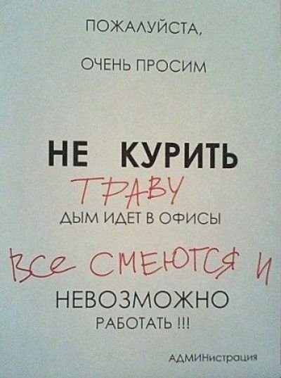    :D - 12  2016  17:31