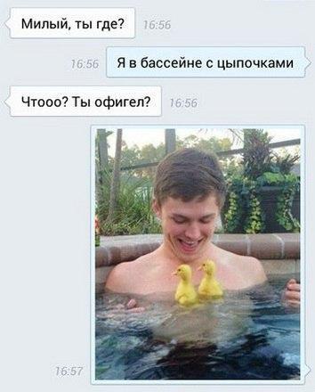     - 5  2017  11:49