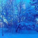 ���� ��������, ������ ��������, 63 ���� - ��������� 20 ������� 2016 � ������ ��������