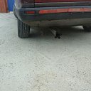 ���� ����, ������, 42 ���� - ��������� 11 ������� 2016 � ������ ������ ��������