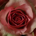 ���� �������, ������ - ��������� 11 ������� 2016 � ������ ������ ��������