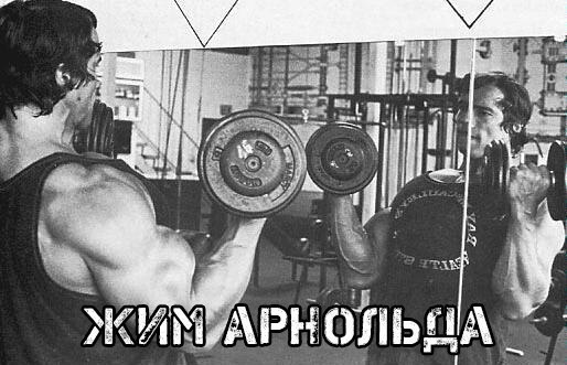 Жим Арнольда. Все: от техники до секретов выполнения. Обычно, если человек добился каких-либо ...