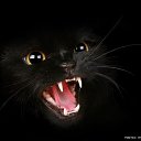 ���� Freemen, �������, 46 ��� - ��������� 6 ������ 2017 � ������ ���� ����������