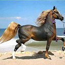  ., , 68  -  2  2016     ,   ...