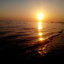 ���� �����, �������� - ��������� 24 ����� 2017 � ������ ���� ����������