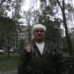  , -, 55  -  20  2016