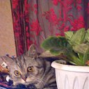 ���� ������, ���, 53 ���� - ��������� 30 ������� 2016 � ������ ���� ����������