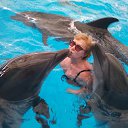 ���� �������, �������, 63 ���� - ��������� 11 ����� 2017 � ������ �������������