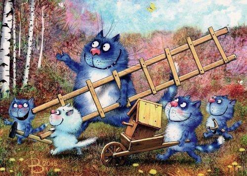  -  - 11  2016  06:20