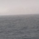 ���� �����, �����������, 49 ��� - ��������� 3 ������ 2016 � ������ ���� ����������