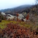  ,  -  15  2017              70     ӻ