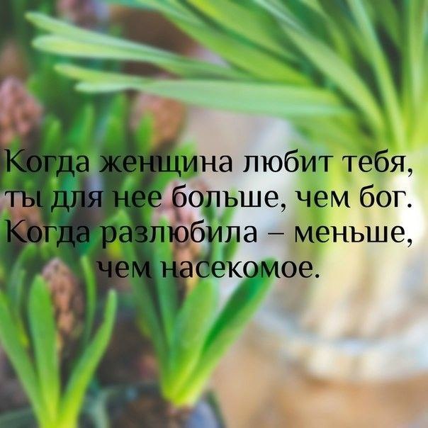 .https://fotostrana.ru/away?to=/sl/kxC2 - 29  2016  15:05