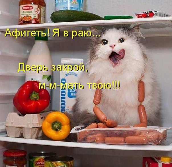    - 5  2016  07:16